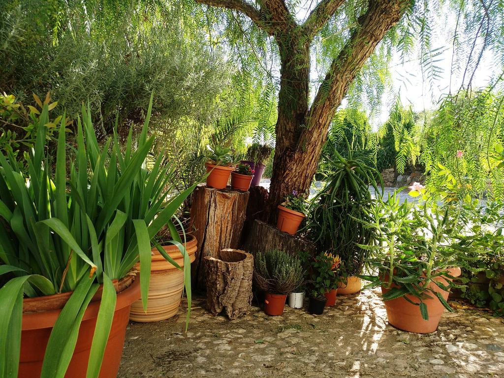 Casa Con Encanto En Alájar エクステリア 写真